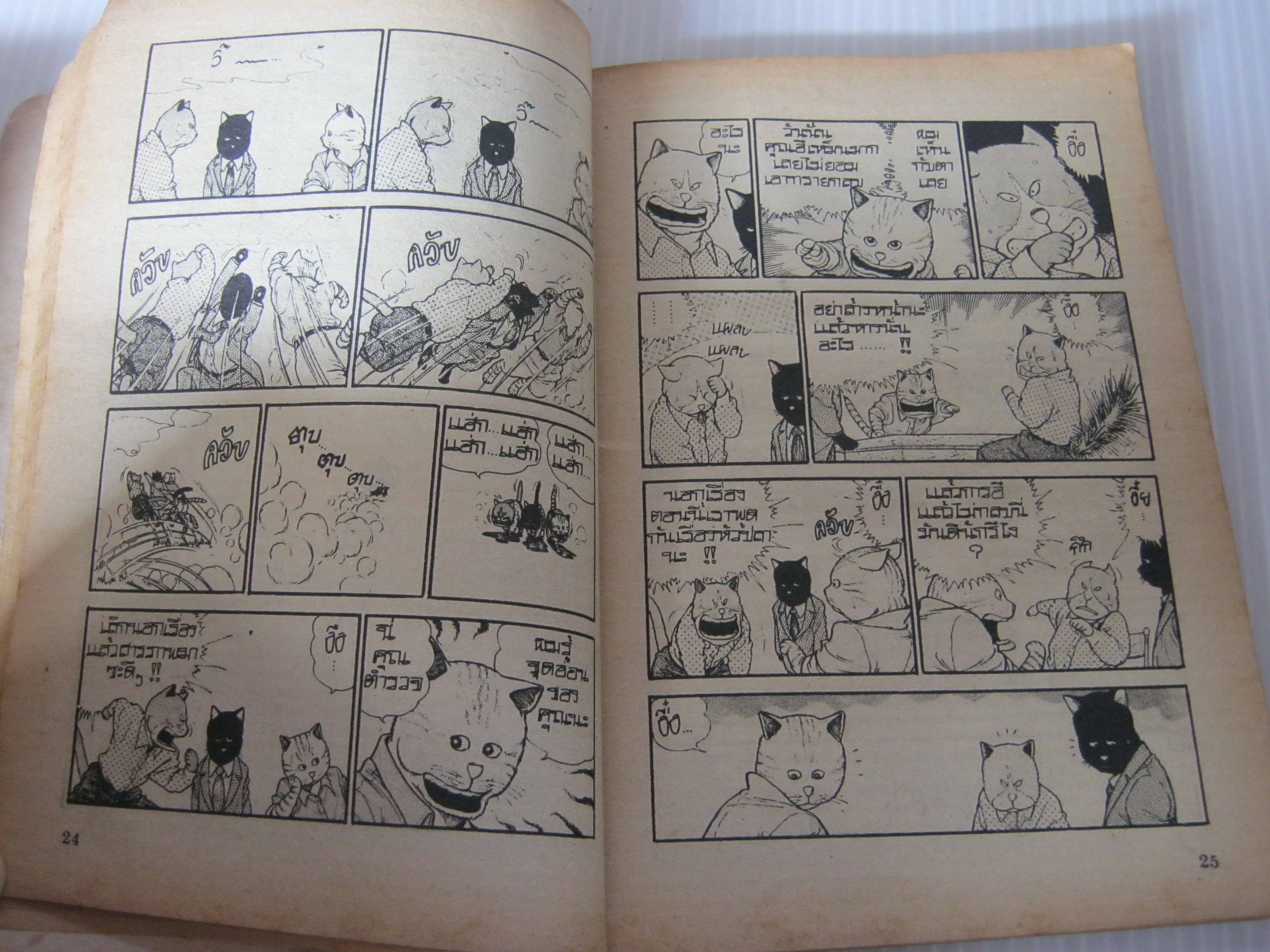 แมวแก่แดด เล่ม 1