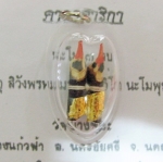 จี้สาริกาลิ้นทอง หลวงพ่อเปิ่น เลี่ยมกรอบใส วัดบางพระ พร้อมใบคาถาค่ะ