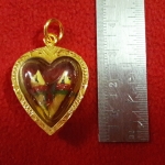 สินค้าหมดค่ะ สาริกาลิ้นทองในน้ำมัน องค์เล็ก เลี่ยมกรอบใหญ่ทองไมครอนพร้อมใบคาถาค่ะ