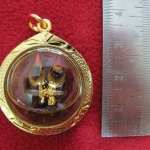 สาริกาลิ้นทองปากแดงในน้ำมัน องค์ใหญ่ เลี่ยมกรอบทรงกลมทองไมครอนพร้อมใบคาถาค่ะ