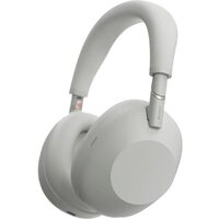 สี Platinum Silver