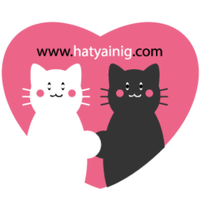 ร้านhatyainig