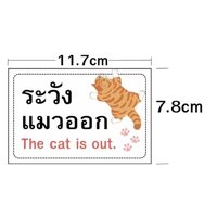 ระวังแมวออก