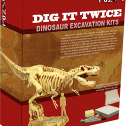 ชุดขุดฟอสซิลDig it Twice (แบบเล่นสองรอบ ขุดแล้วนำมาประกอบเป็นโมเดลได้)