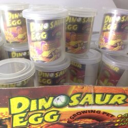 ไข่ไดโนเสาร์แช่น้ำ(ขนาดกลาง)