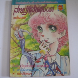 สายรักสายเลือด เล่มเดียวจบ***สินค้าหมด***