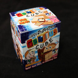 เกมเต๋าอัจฉริยะ (Genius Cube)