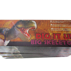 ชุดขุดฟอสซิลบิ๊กสเกลเลตัน (แบบโมเดลตั้งโชว์)