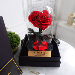 กุหลาบอมตะ กุหลาบอมตะหัวใจ