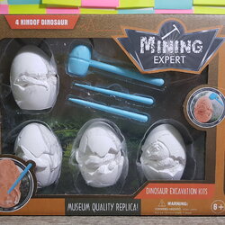 ชุดเคาะไข่ฟอสซิลไดโนเสาร์4ฟอง