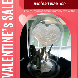 กุหลาบอมตะ กุหลาบในโหลแก้ว กุหลาบหัวใจขาว กุหลาบโฉมงามกับเจ้าชายอสูร กุหลาบbeauty and the beast