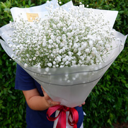 ช่อยิปโซ ขนาดกลาง