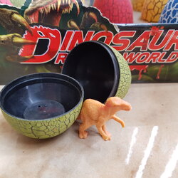 ไข่ไนเสาร์สุ่มฟอง