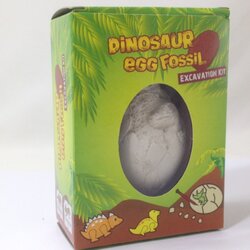 ชุดขดฟอสซิลไข่ไดโนเสาร์(No.404370BJ)