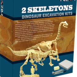 ชุดขุดฟอสซิลโมเดลไดโนเสาร์ 2ตัว(ประกอบได้)