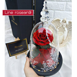 กุหลาบในโดมแก้ว Bell