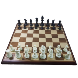 ชุดหมารกุกสากลกระดานไม้ช่องน้ำตาลขนาด5x5cm.พร้อมตัวเรซิ่นขนาดมาตรฐาน