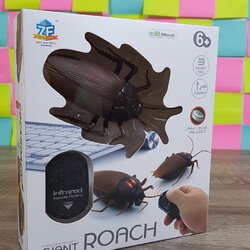 แมลงสาบยักษ์บังคับวิทยุ(Giant Roach)