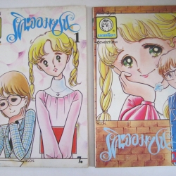 ริคะจอมซน 2 เล่มจบชุด (ปกหนังไก่)***สินค้าหมด***