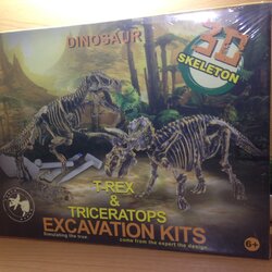 ชุดขุดฟอสซิลไดโนเสาร์พร้อมนำมาประกอบเป็นโครงกระดูก3D
