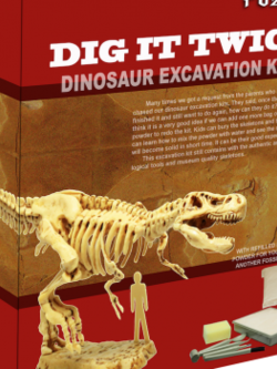 ชุดขุดฟอสซิลDig it Twice (แบบเล่นสองรอบ ขุดแล้วนำมาประกอบเป็นโมเดลได้)