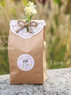 ชุดปลูกเมล็ดผักสวนครัวบรรจุในถุงกระดาษคราฟท์