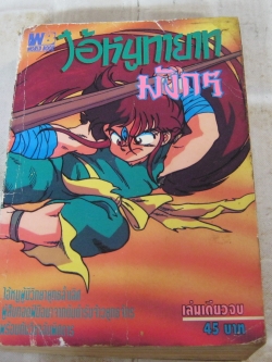 ไอ้หนูทายาทมังกร เล่มเดียวจบ