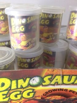 ไข่ไดโนเสาร์แช่น้ำ(ขนาดกลาง)