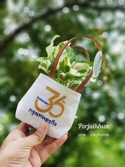 ต้นไม้มงคลต้นไม้ของชำร่วยในถุงผ้าดิบสายหนังสกรีนโลโก้หน้าถุง