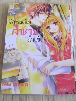 รักหทดใจเจ้าชายนํ้าแข็ง เล่มเดียวจบ Miko Mitsuki เขียน