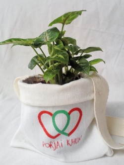 ไม้มงคลนาม กระถาง 3" ในถุงผ้าดิบ (สกรีน 2 สี)