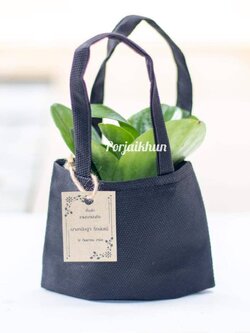 ต้นไม้ของชำร่วยในถุงผ้าสีดำสำหรับงานฌาปนกิจ
