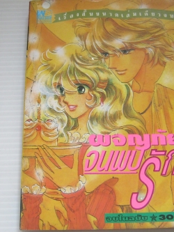 ผจญภัยจนพบรัก จบในฉบับ