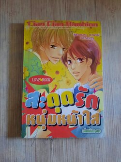 สะดุดรักนายหน้าใส เล่มเดียวจบ