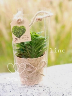 ของชำร่วยต้นไม้ห่อผ้ากระสอบใส่ถุงใสหูหิ้วเชือกปอ กระถางขนาด 3 นิ้ว