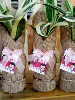 ต้นกวนอิม(แบบต้น)ในขวดนมรีไซเคิลห่อผ้ากระสอบ