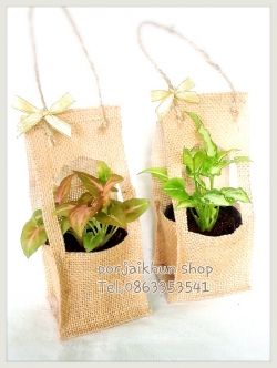 ต้นไม้ชำร่วยใส่แจ็คเก็ตผ้ากระสอบพร้อมเชือกหิ้ว