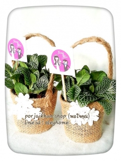 ต้นไม้ของชำร่วยกระถางผ้ากระสอบมีหูหิ้ว