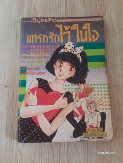 แทรกรักไว้ในใจ เล่มเดียวจบ***สินค้าหมด***