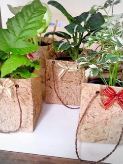 ต้นไม้ของชำร่วยในถุงกระดาษสา