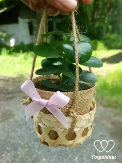 ต้นไม้มงคลห่อผ้ากระสอบใส่ฝาสานไม้ไผ่