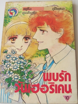 พบรักวันเฮอริเคน เล่มเดียวจบ