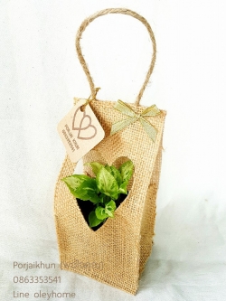 ต้นไม้มงคลในกล่องกระสอบหน้าต่างหัวใจ