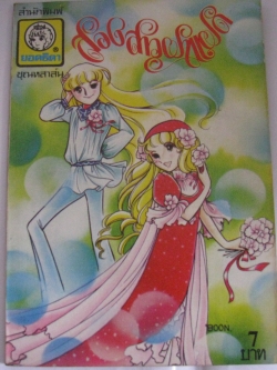 สองสาวฝาแฝด เล่มเดียวจบ ปกหนังไก่***สินค้าหมด***