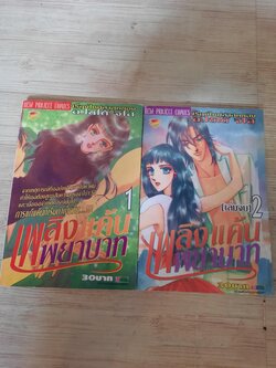 เพลิงแค้นพยาบาท ครบชุด 2 เล่มจบ ไชโต้ จิโฮ เขียน