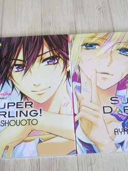 SUPER DARLING ครบชุด 2 เล่มจบ Aya Shouoto เขียน