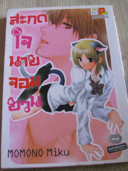 สะกดใจนายจอมยวน เล่มเดียวจบ Momono Miku เขียน