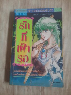 รักที่เฝ้ารอ เล่มเดียวจบ อะโต จุนโกะ เขียน