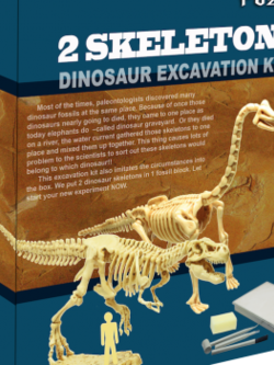 ชุดขุดฟอสซิลโมเดลไดโนเสาร์ 2ตัว(ประกอบได้)