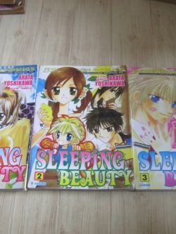 SLEEPING BEAUTY ครบชุด 3 เล่มจบ Arata Yoshikawa เขัยน